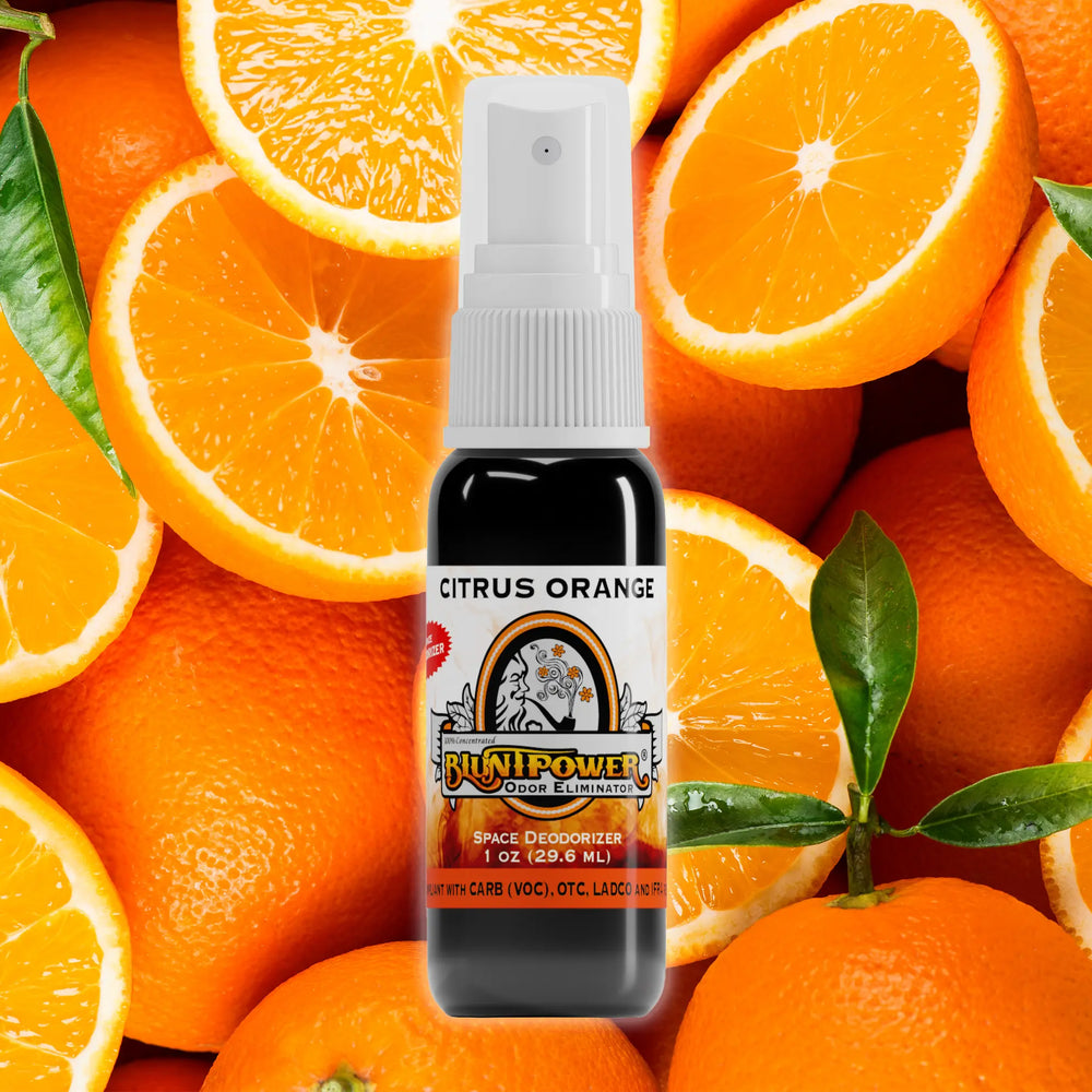 BluntPower Odor Eliminator - Citrus Orange Scent