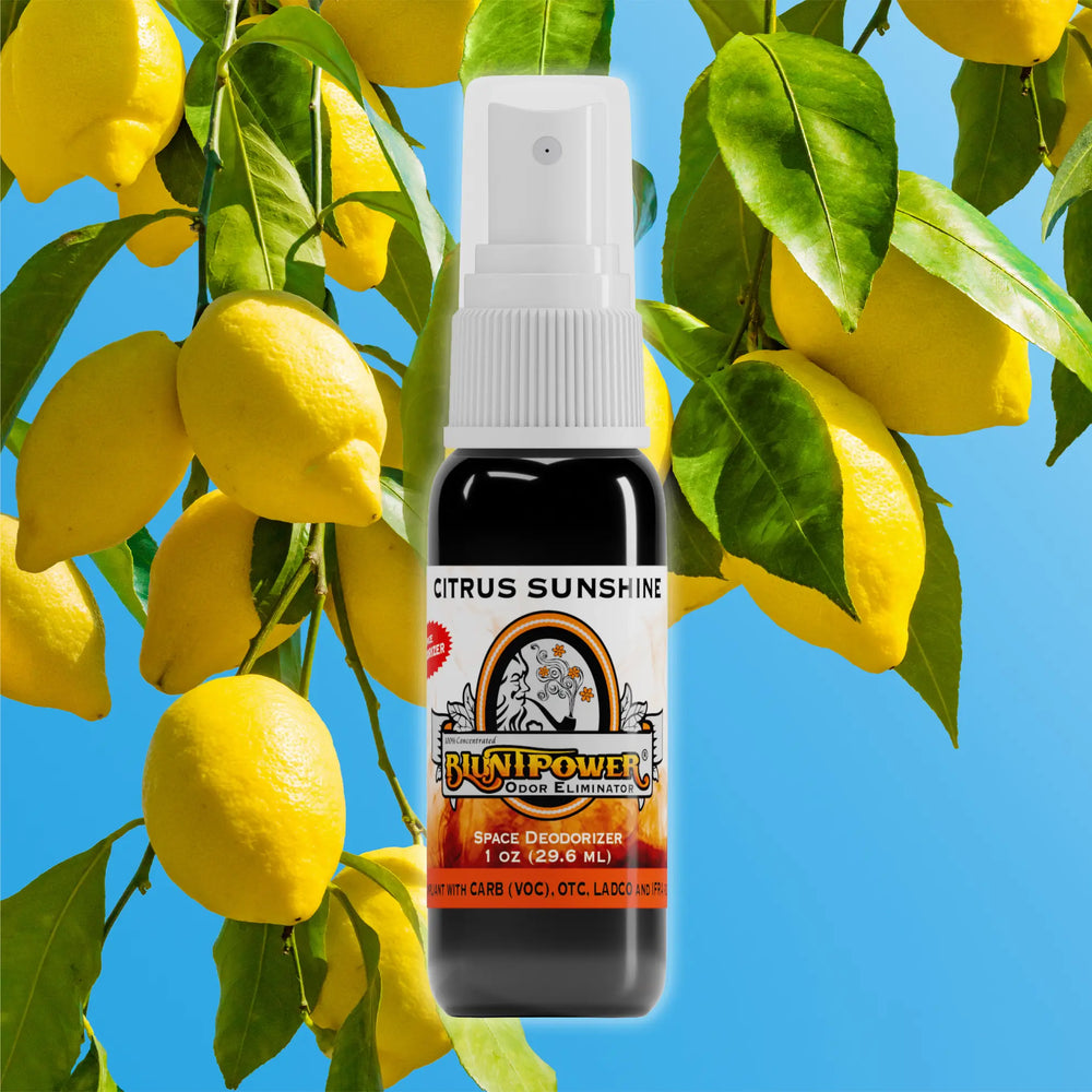 BluntPower Odor Eliminator - Citrus Sunshine Scent